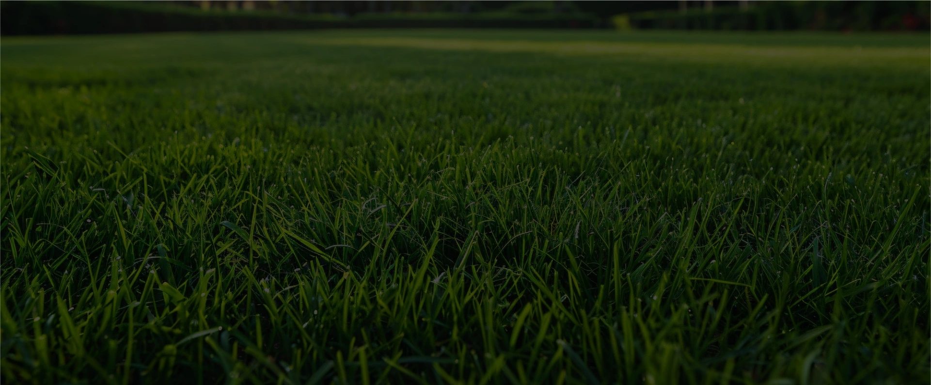 Commercial artificial turf installation for a Dallas property