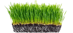 Playground turf installation for a school in Dallas, Texas