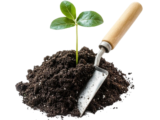 Artificial turf installation materials for a Dallas landscape
