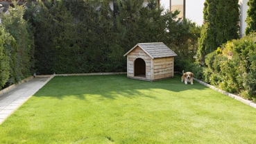 Pet turf installation with drainage base preparation in Dallas