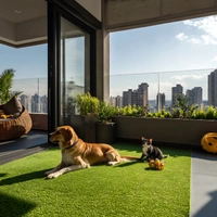 Pet-friendly artificial turf installation in Dallas