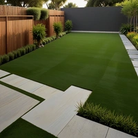 Artificial turf installation for a Dallas residential property