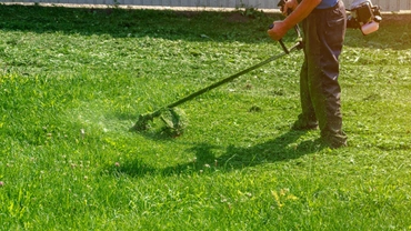 Professional turf maintenance in Dallas